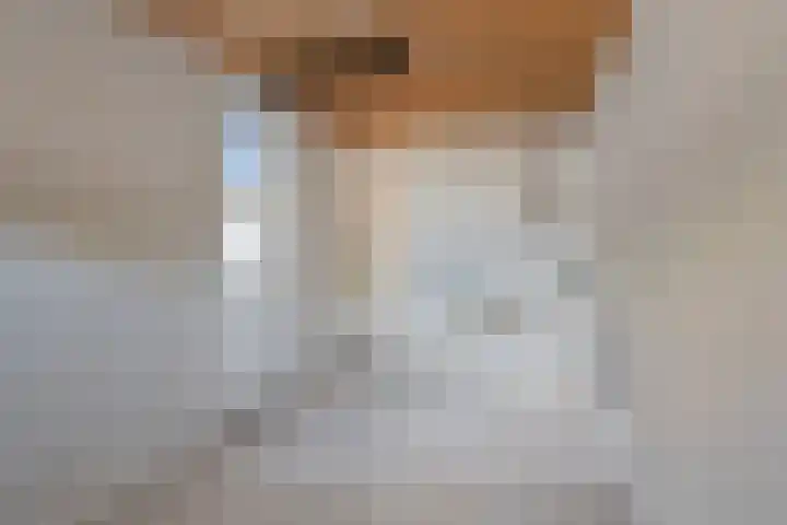 van der Looswei 26 Blauwhuis thumbnail 18
