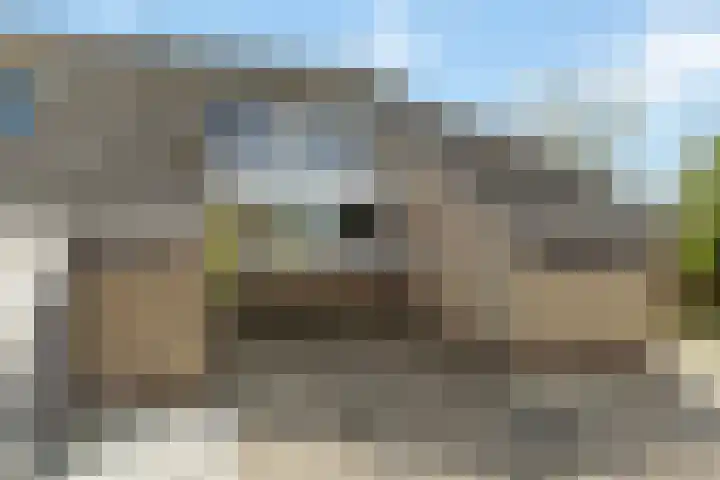 van der Looswei 26 Blauwhuis thumbnail 21
