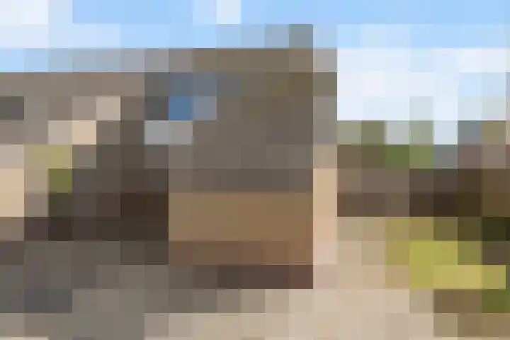 van der Looswei 26 Blauwhuis thumbnail 22