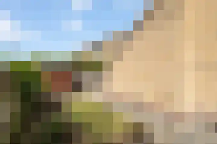 van der Looswei 26 Blauwhuis thumbnail 24