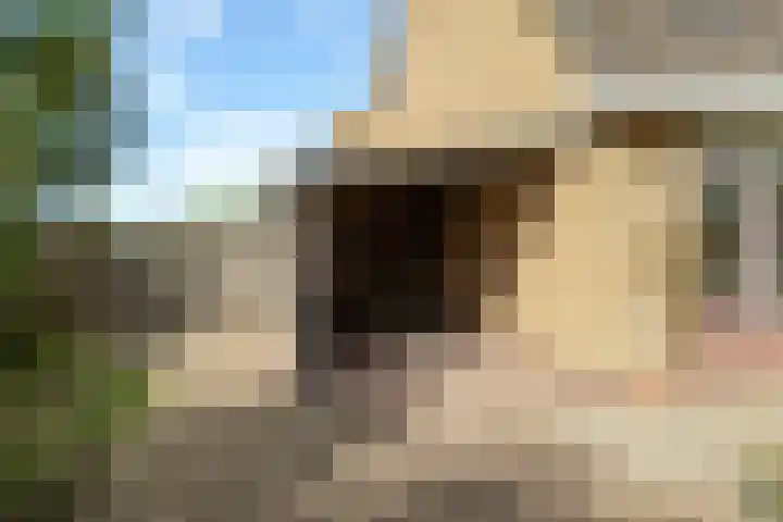 van der Looswei 26 Blauwhuis thumbnail 25