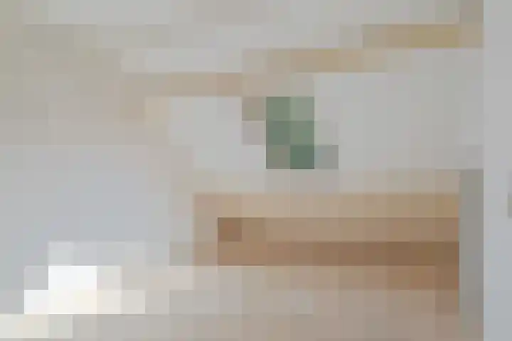 van der Looswei 26 Blauwhuis thumbnail 27