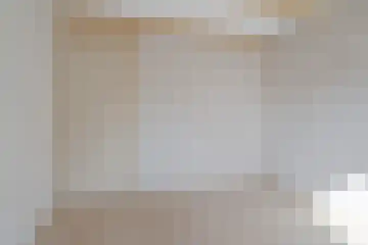 van der Looswei 26 Blauwhuis thumbnail 28