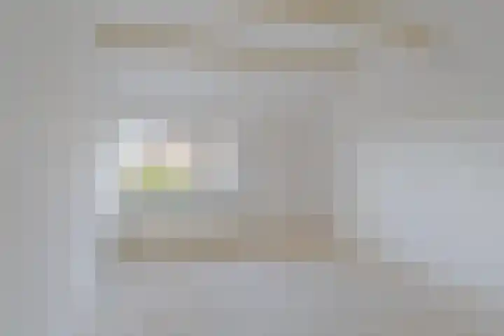 van der Looswei 26 Blauwhuis thumbnail 31