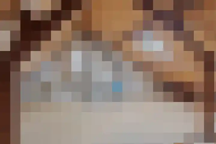 van der Looswei 26 Blauwhuis thumbnail 37