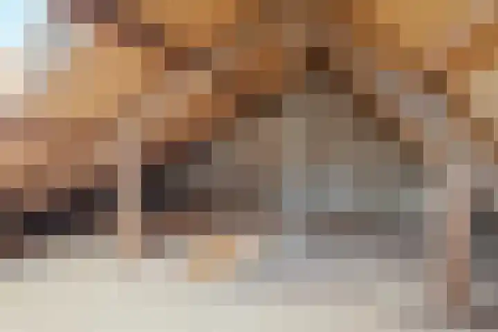 van der Looswei 26 Blauwhuis thumbnail 38