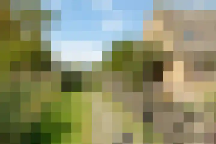 van der Looswei 26 Blauwhuis thumbnail 4