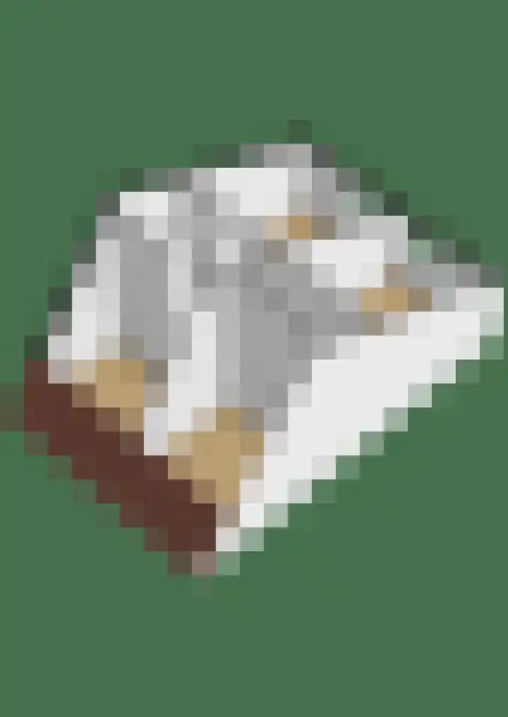 van der Looswei 26 Blauwhuis thumbnail 42