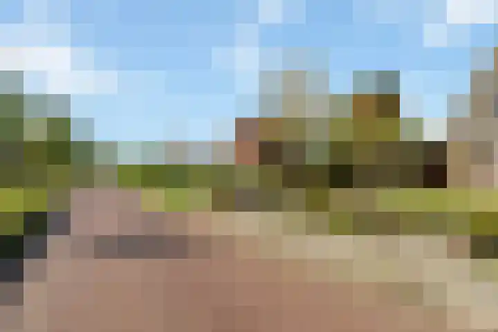 van der Looswei 26 Blauwhuis thumbnail 5