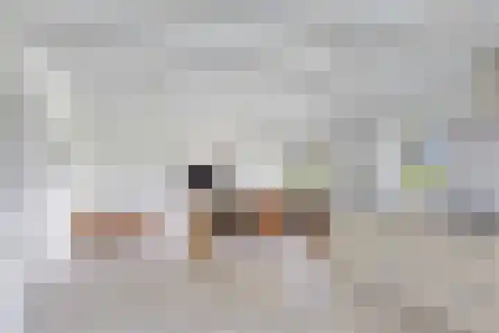 van der Looswei 36 Blauwhuis thumbnail 10