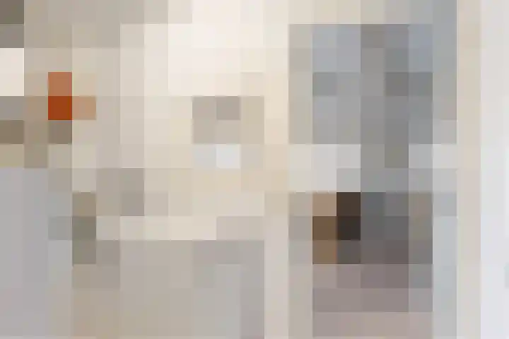 van der Looswei 36 Blauwhuis thumbnail 11
