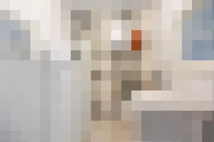 van der Looswei 36 Blauwhuis thumbnail 12
