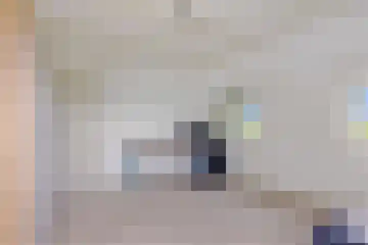 van der Looswei 36 Blauwhuis thumbnail 14