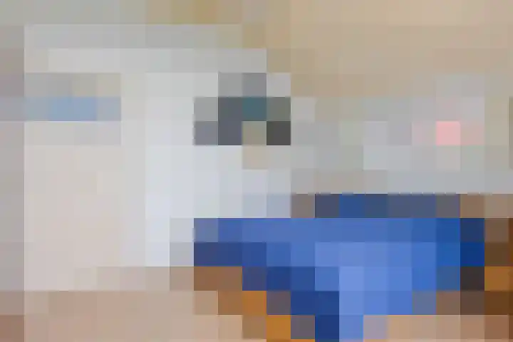van der Looswei 36 Blauwhuis thumbnail 16