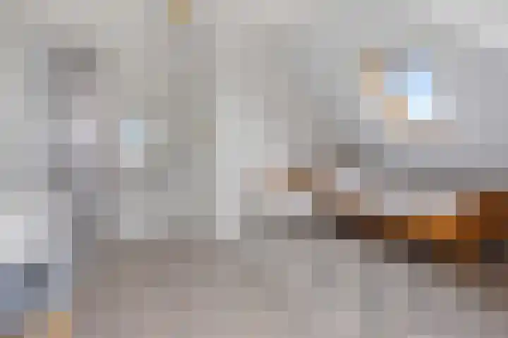 van der Looswei 36 Blauwhuis thumbnail 23