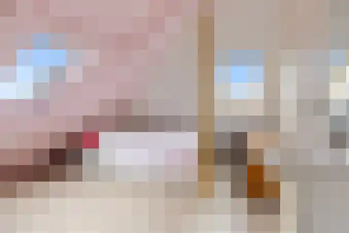 van der Looswei 36 Blauwhuis thumbnail 25