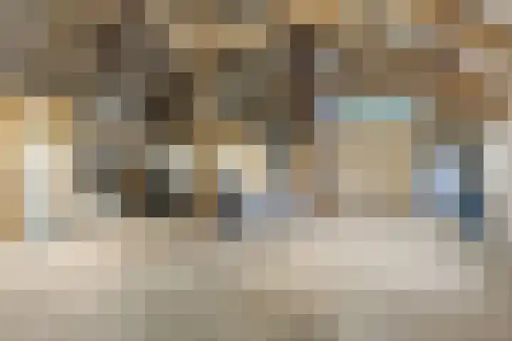 van der Looswei 36 Blauwhuis thumbnail 27