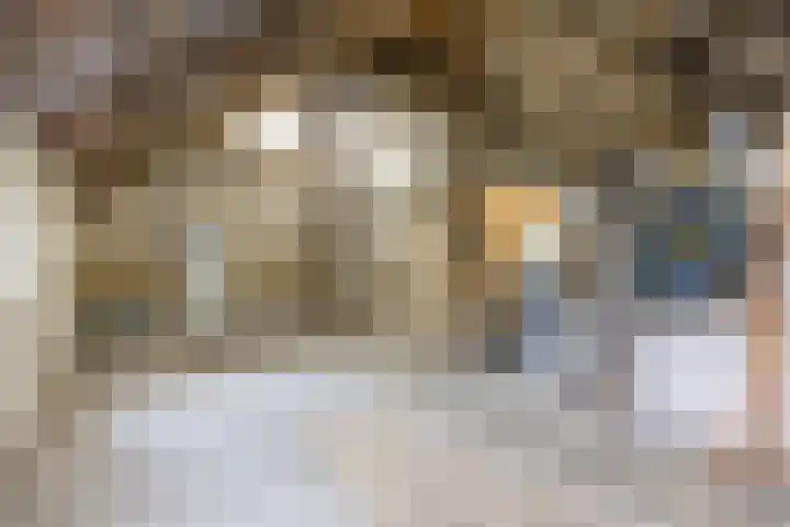 van der Looswei 36 Blauwhuis thumbnail 28