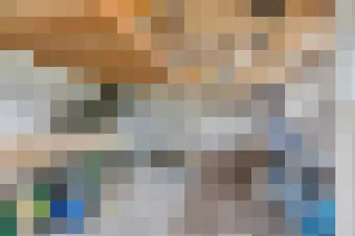van der Looswei 36 Blauwhuis thumbnail 29