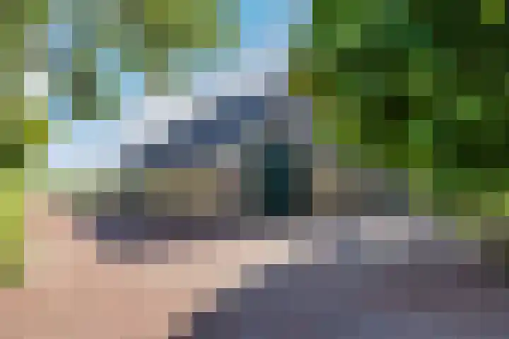 van der Looswei 36 Blauwhuis thumbnail 30