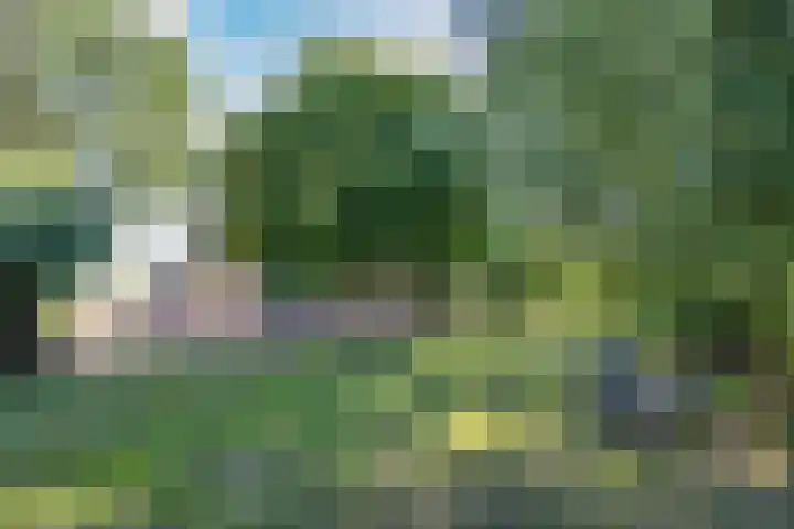 van der Looswei 36 Blauwhuis thumbnail 31
