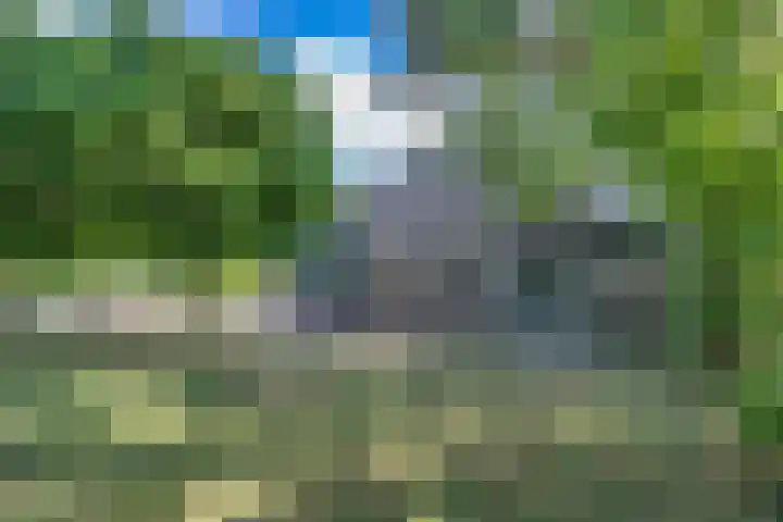 van der Looswei 36 Blauwhuis thumbnail 32