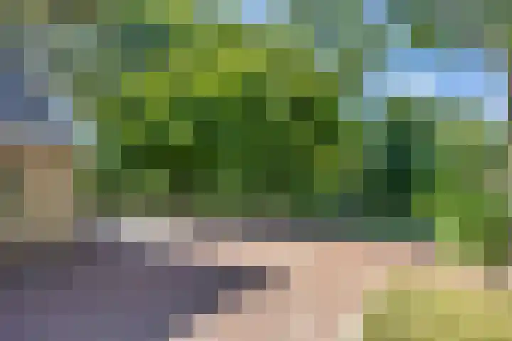 van der Looswei 36 Blauwhuis thumbnail 33
