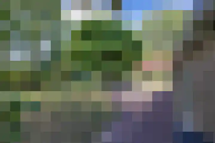 van der Looswei 36 Blauwhuis thumbnail 34