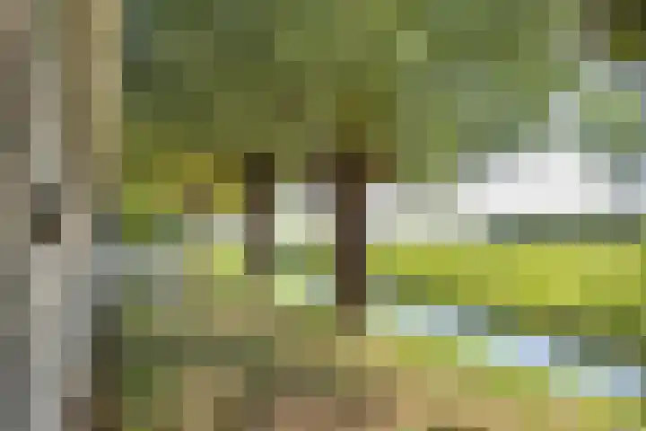 van der Looswei 36 Blauwhuis thumbnail 35