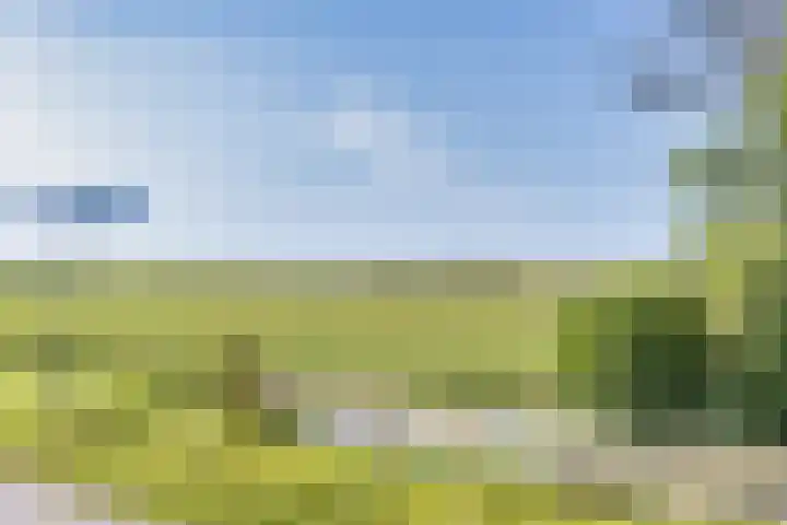 van der Looswei 36 Blauwhuis thumbnail 36