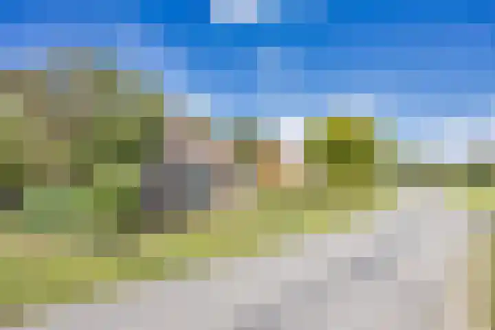 van der Looswei 36 Blauwhuis thumbnail 39