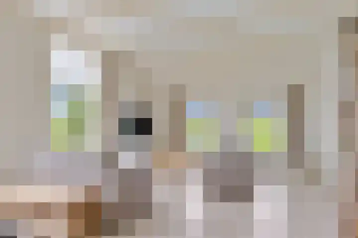 van der Looswei 36 Blauwhuis thumbnail 4