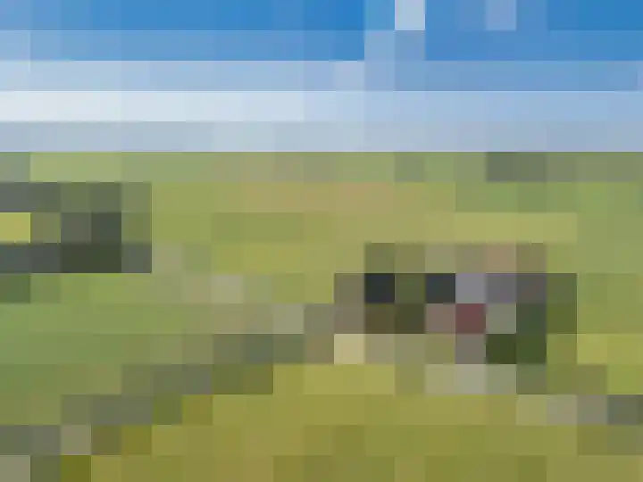 van der Looswei 36 Blauwhuis thumbnail 41