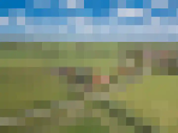 van der Looswei 36 Blauwhuis thumbnail 42