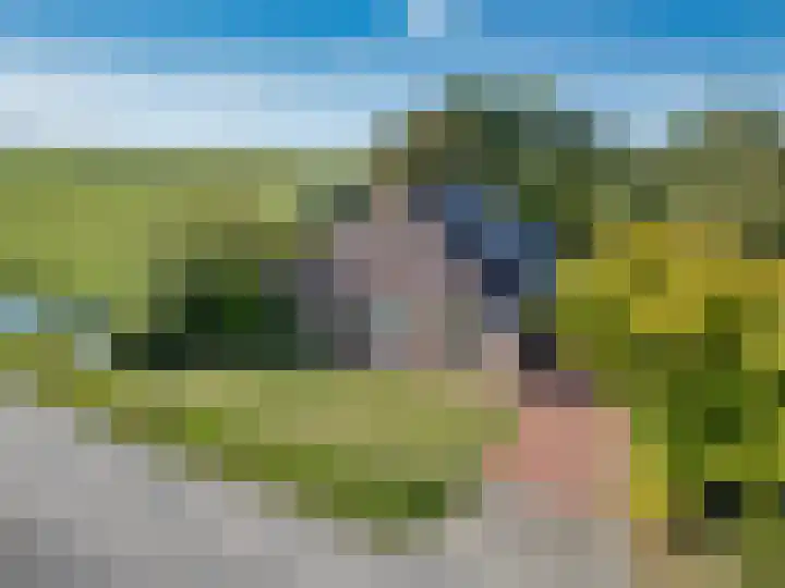 van der Looswei 36 Blauwhuis thumbnail 45