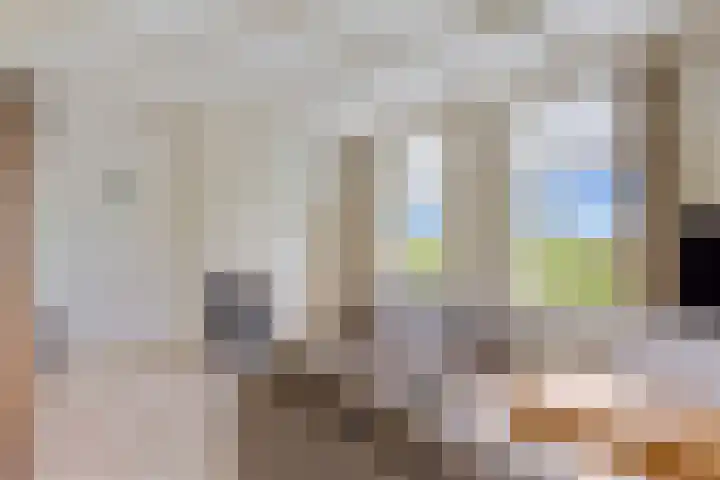 van der Looswei 36 Blauwhuis thumbnail 5