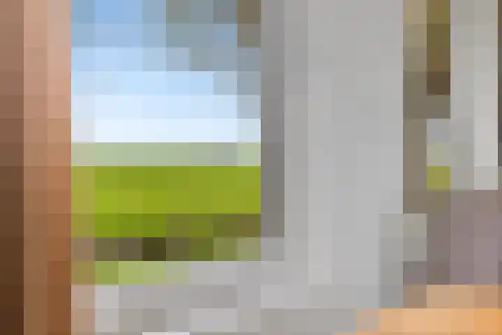 van der Looswei 36 Blauwhuis thumbnail 7