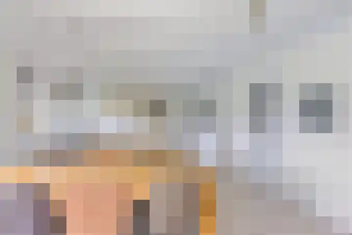 van der Looswei 36 Blauwhuis thumbnail 8