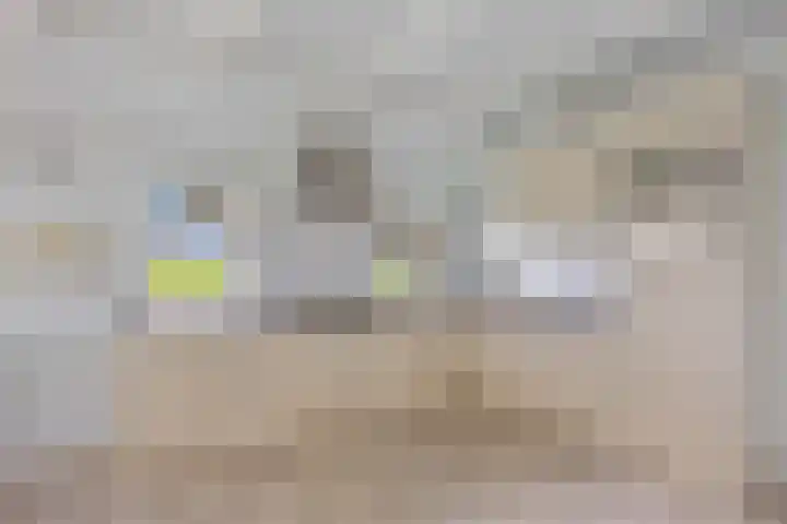 van der Looswei 36 Blauwhuis thumbnail 9