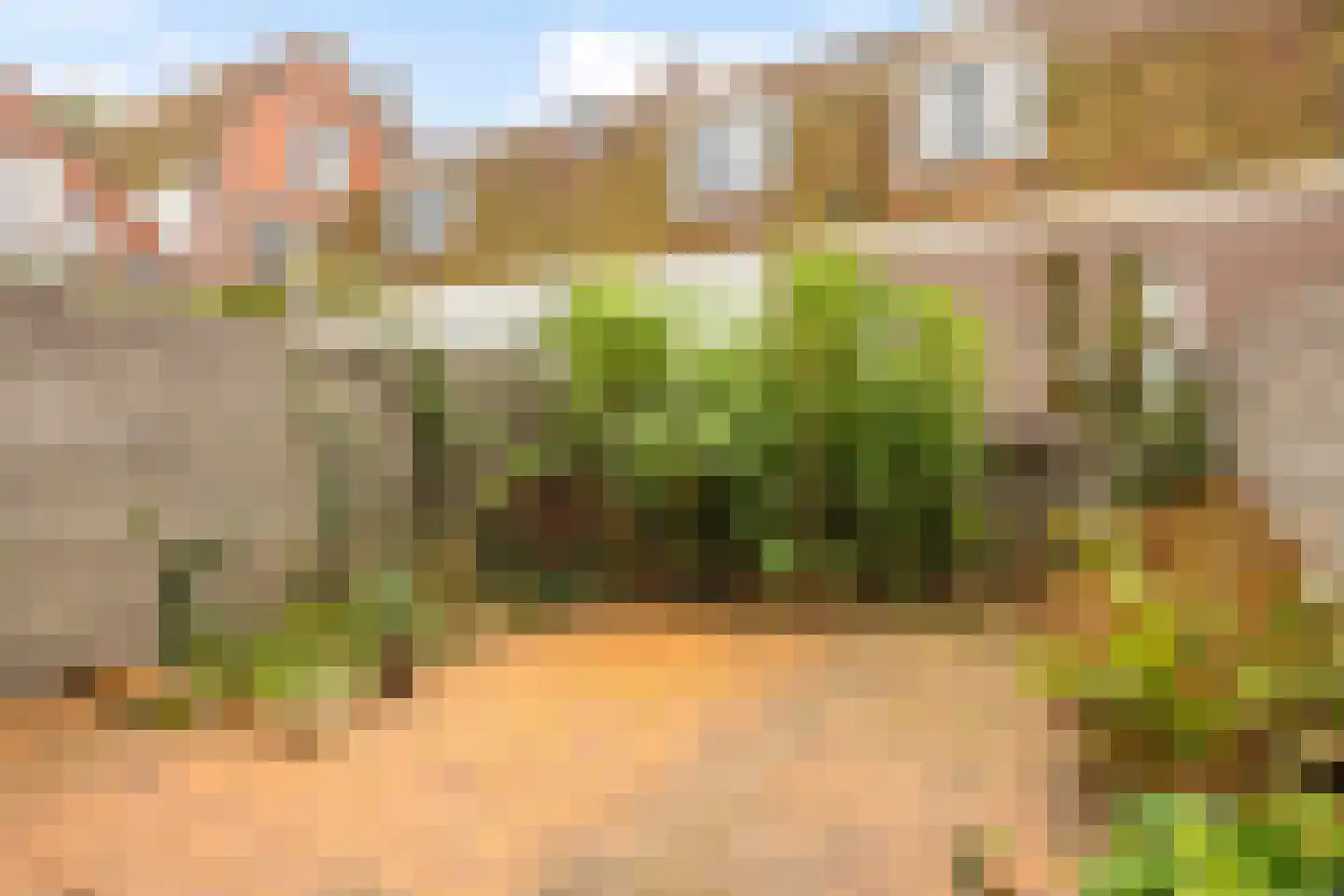 Van der Lubbehof 2 Leiden thumbnail 25