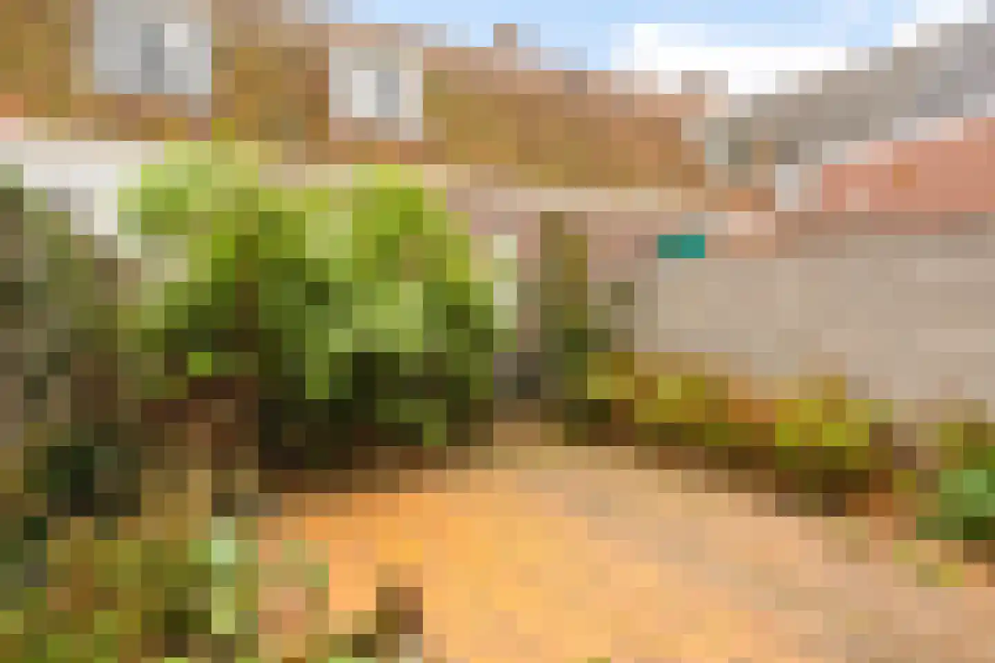Van der Lubbehof 2 Leiden thumbnail 26