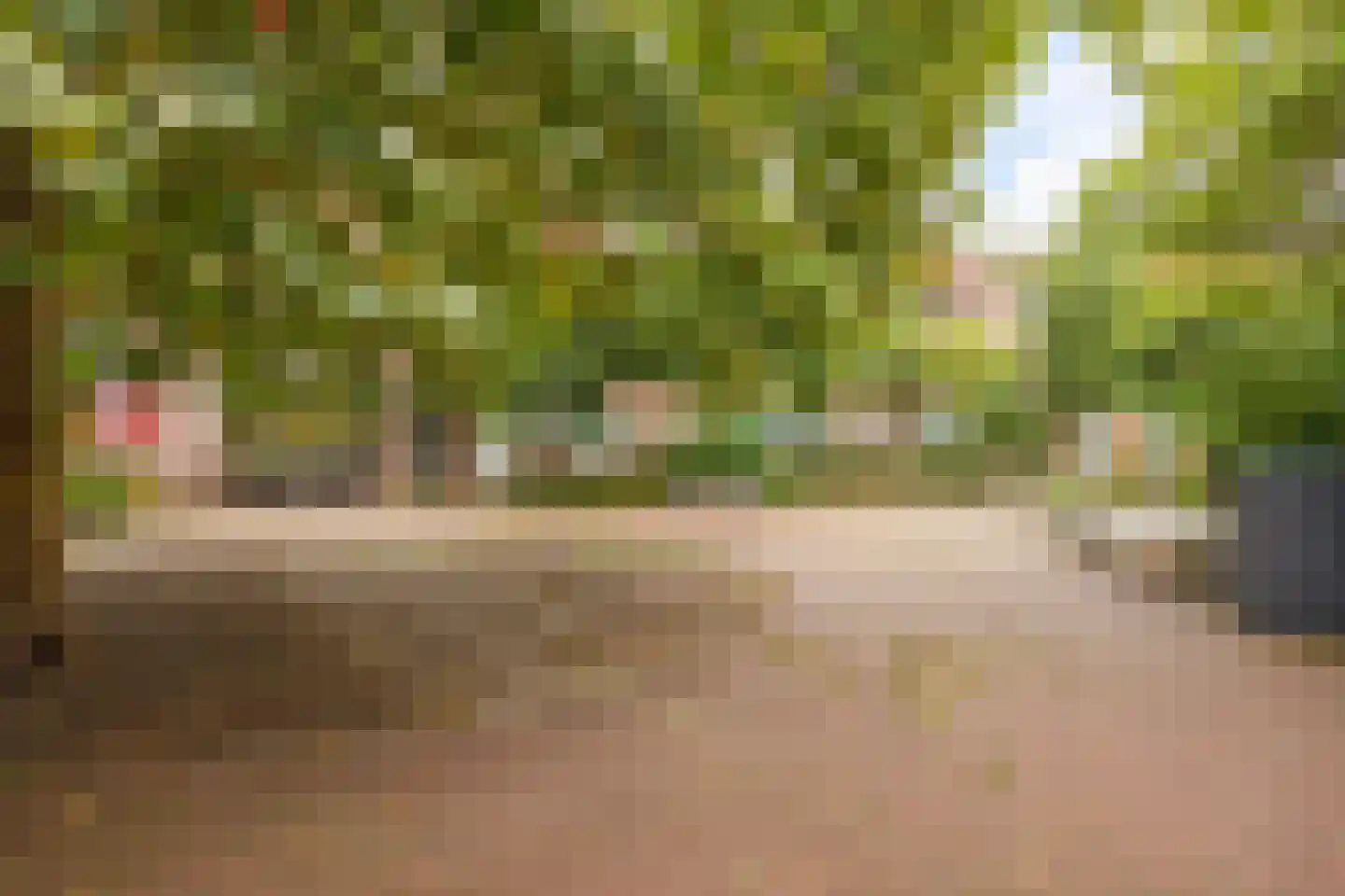 Van der Lubbehof 2 Leiden thumbnail 30