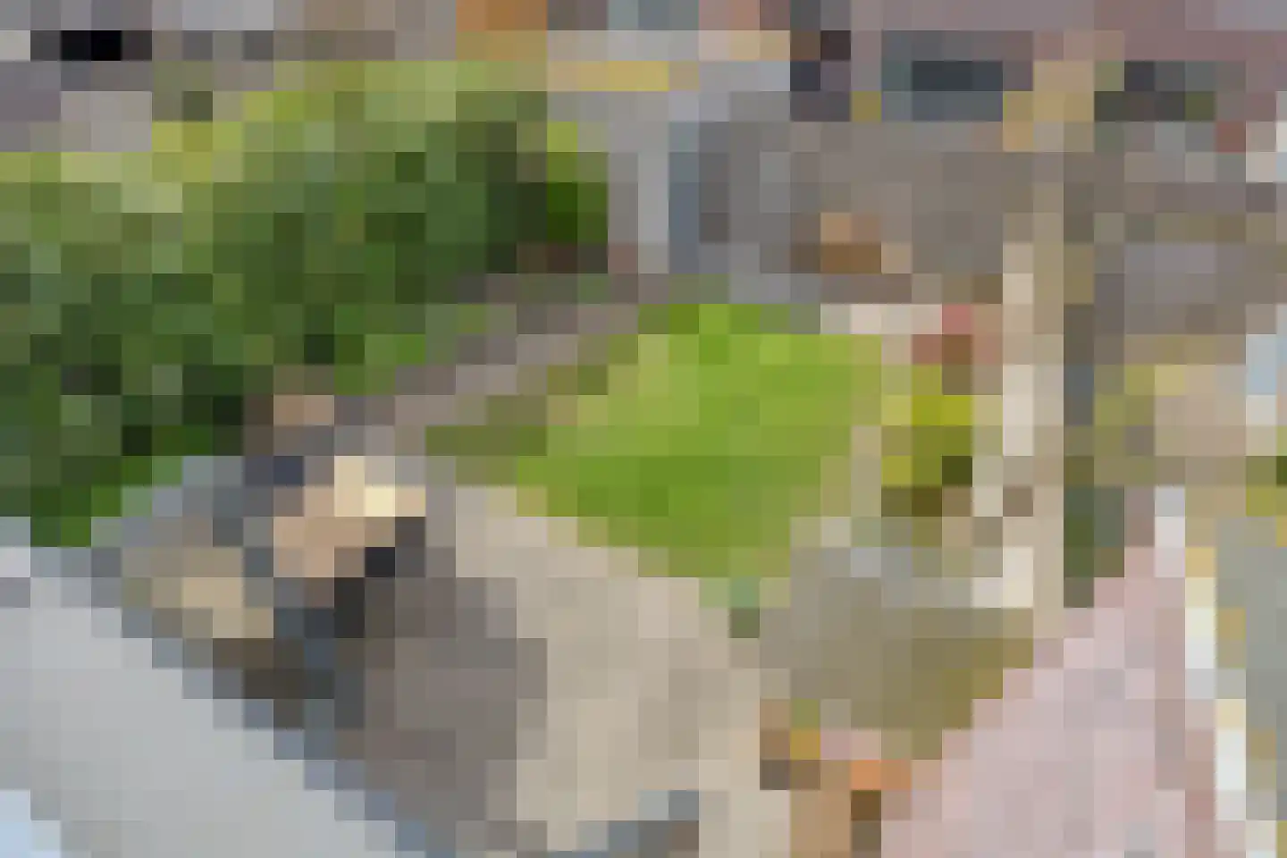 Van der Maareltuinen 11 Delft thumbnail 32