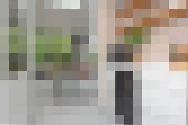 Van der Maareltuinen 24 Delft thumbnail 12