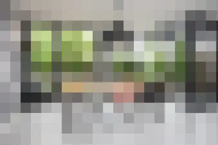 Van der Maareltuinen 24 Delft thumbnail 13