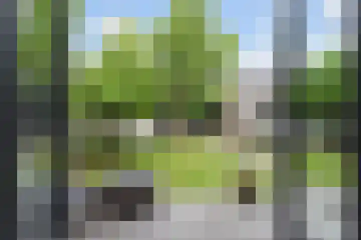 Van der Maareltuinen 24 Delft thumbnail 15