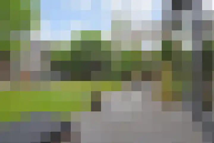 Van der Maareltuinen 24 Delft thumbnail 16