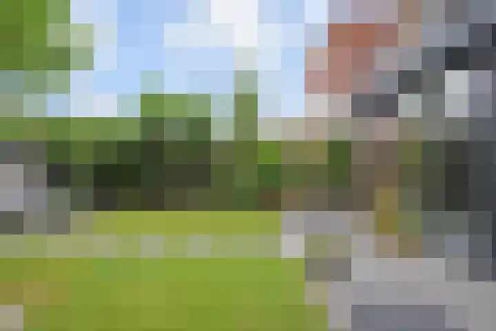 Van der Maareltuinen 24 Delft thumbnail 17
