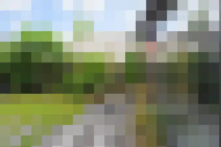 Van der Maareltuinen 24 Delft thumbnail 18