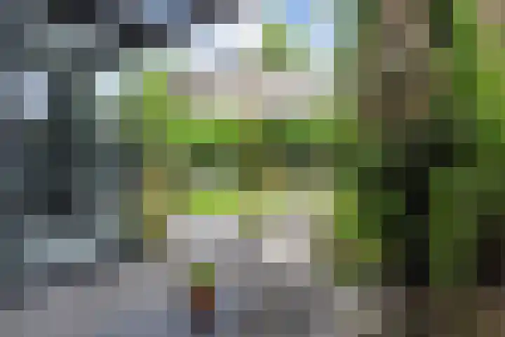 Van der Maareltuinen 24 Delft thumbnail 19